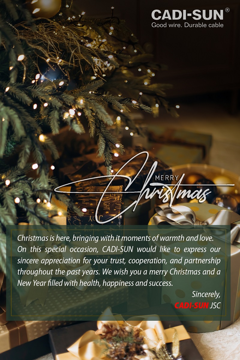 Christmas & New Year greetings from CADI-SUN